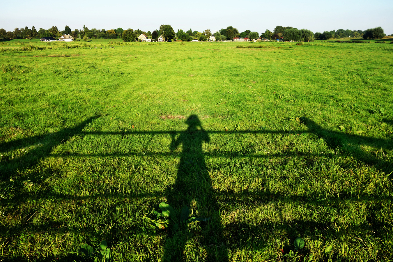 Shadow of Person Standing